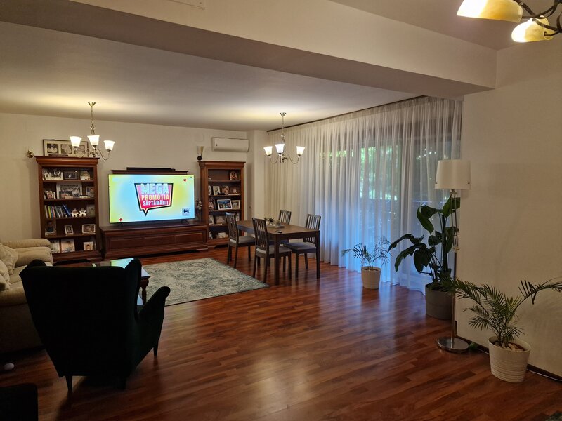 Stefan cel Mare, Central Park,