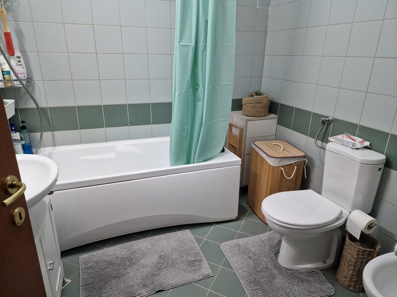 Stefan cel Mare, Central Park,