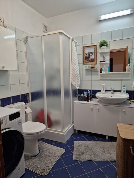 Stefan cel Mare, Central Park,