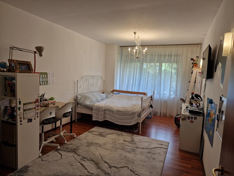 Stefan cel Mare, Central Park,